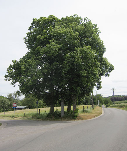 Croix